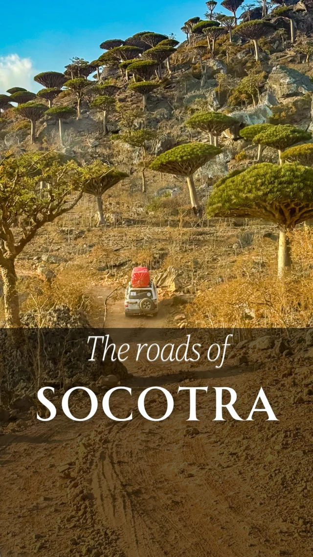🛻 The roads of Socotra? Rough, bumpy, and definitely not for the faint-hearted. You might feel uncomfortable… maybe even a little scared at times.
⁠
But bored? Never. ⁠
⁠
These winding paths come with jaw-dropping views — and they’re leading you straight to some of the most spectacular places you’ve ever seen.⁠
⁠
Adventure doesn’t always come with smooth rides.⁠
⁠
#Socotra #RoadTripVibes #OffTheBeatenPath #OnMyWayRo #WildRoads #socotraisland